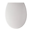 Load image into Gallery viewer, Sabichi Toilet Seat With Anti Bacterial Agent Finish - 201416
